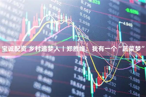 宝诚配资 乡村追梦人丨郑胜维：我有一个“蔬菜梦”
