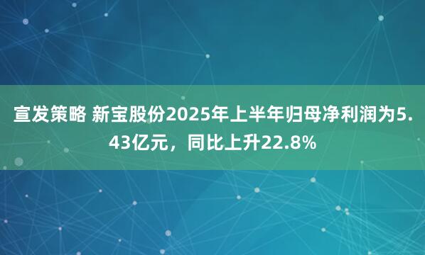 宣发策略 新宝股份2025年上半年归母净利润为5.43亿元，同比上升22.8%