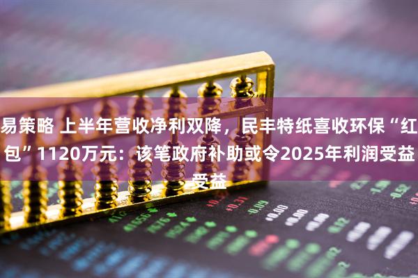 易策略 上半年营收净利双降，民丰特纸喜收环保“红包”1120万元：该笔政府补助或令2025年利润受益